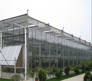 greenhouse3