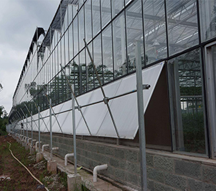 greenhouse1