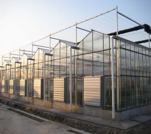 greenhouse2